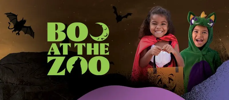 Boo at the Zoo at Denver Zoo