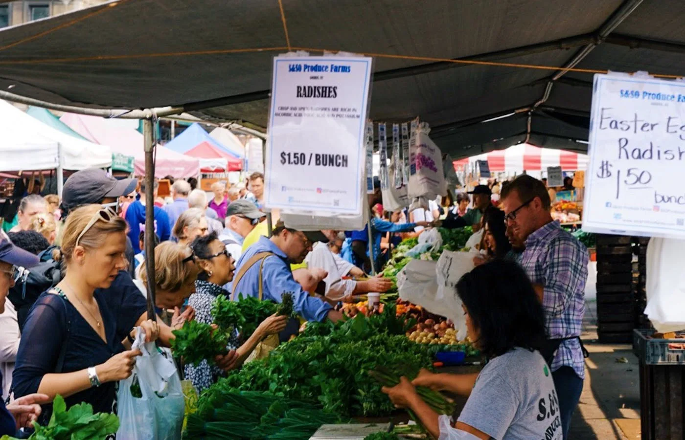 People + Produce Farmers Market: Belleview Station